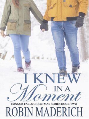 cover image of I Knew in a Moment--Connor Falls Book Two